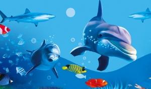 印象澳凱【西安直飛】 澳大利亞深度游（雙大堡礁 三樂園 直升機 大洋路）10日跟團游★★★★★